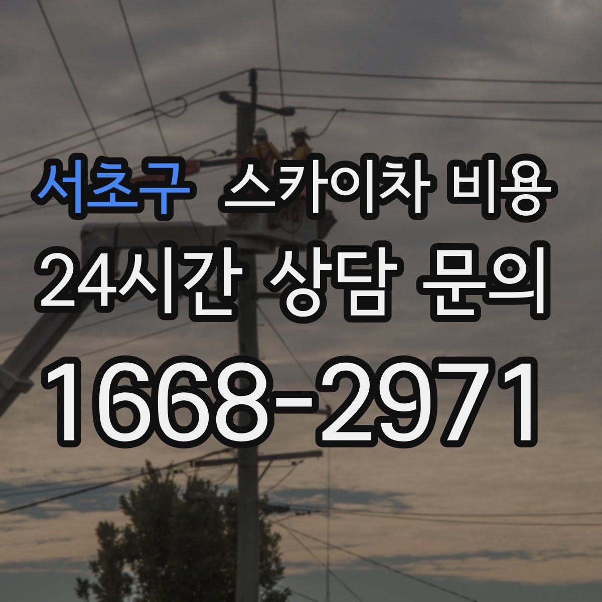 서초구 스카이차 비용