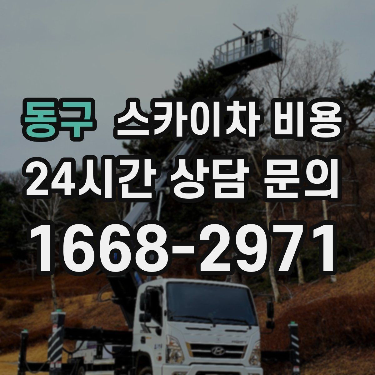 동구 스카이차 비용 통신선 처짐 정리 작업은 얼마나 걸릴까