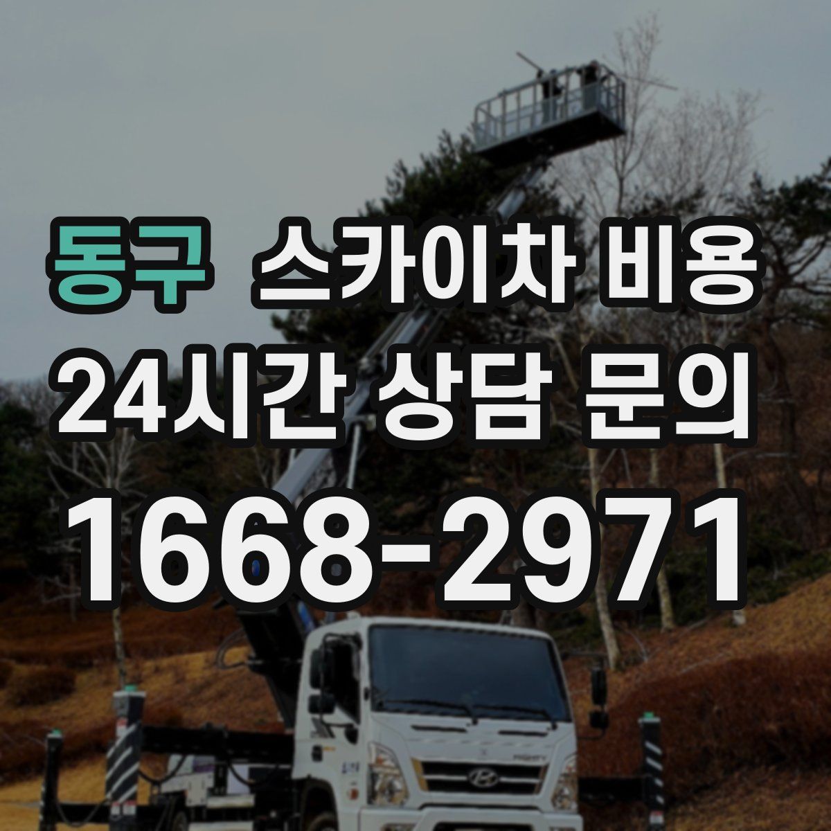 동구 스카이차 비용