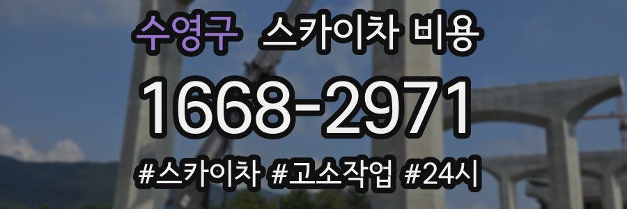 수영구 스카이차 비용