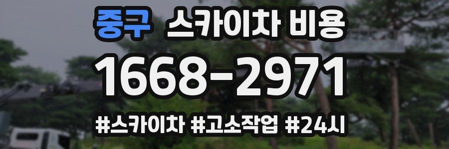 중구 스카이차 비용