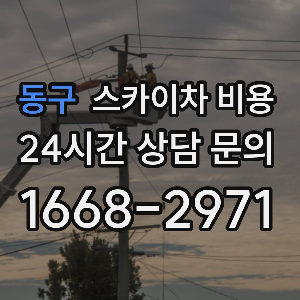 동구 스카이차 비용