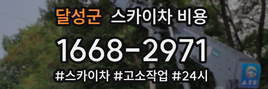 달성군 스카이차 비용