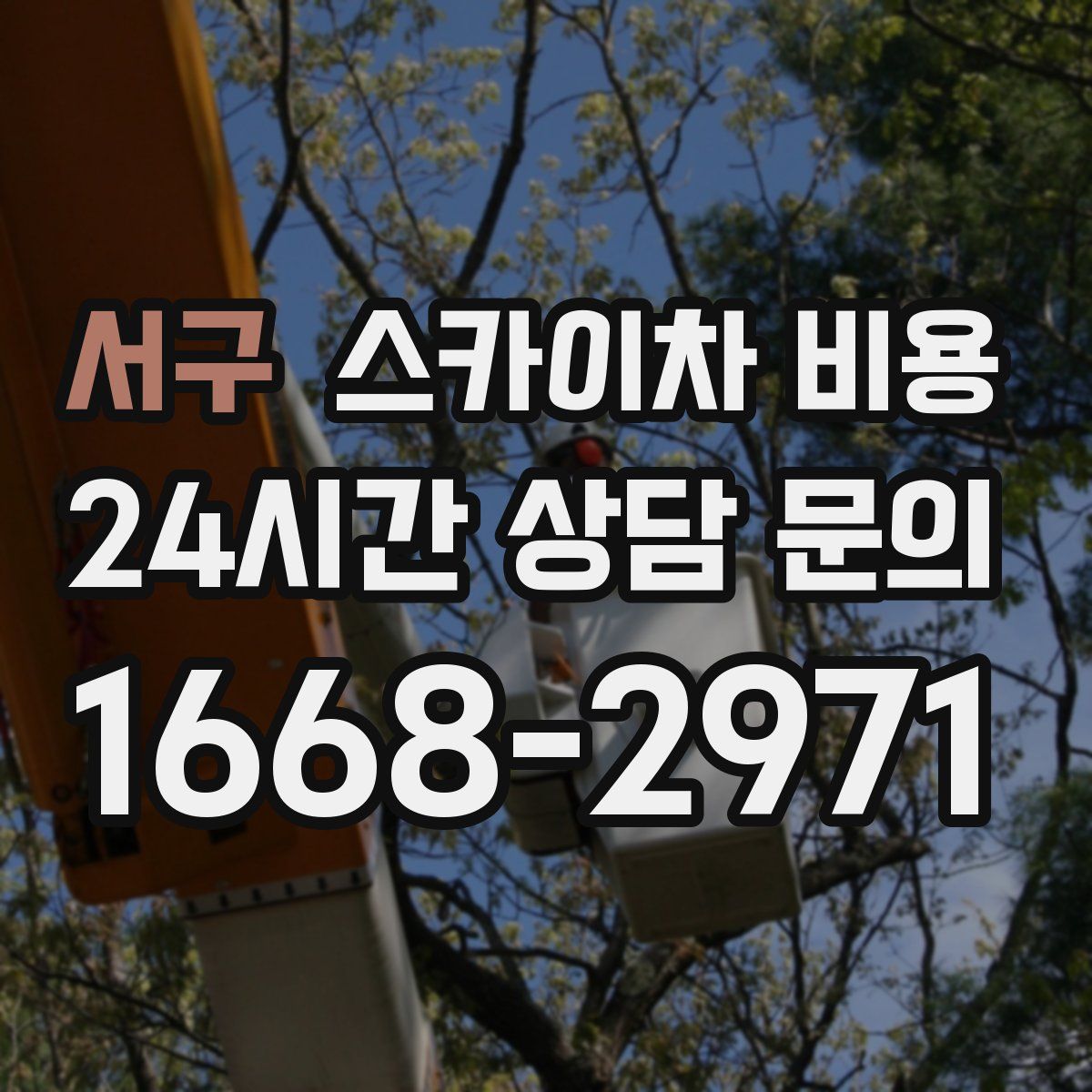 서구 스카이차 비용