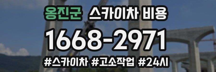 옹진군 스카이차 비용