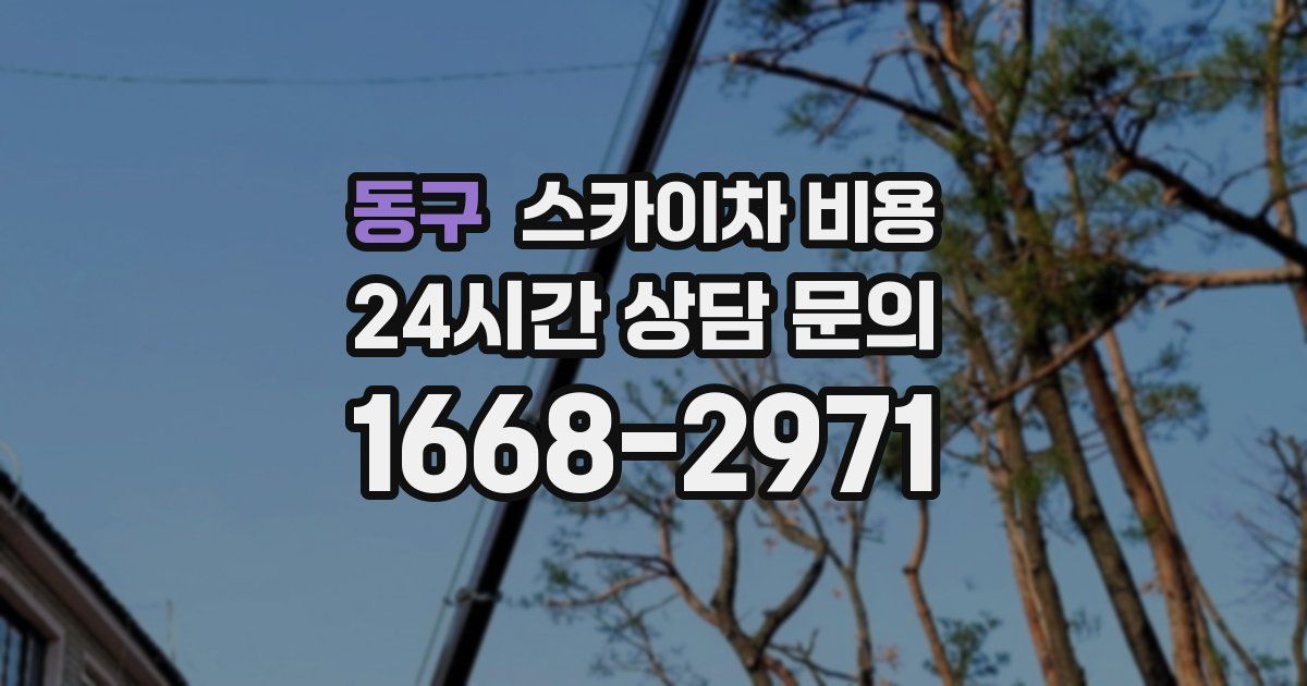 동구 스카이차 비용