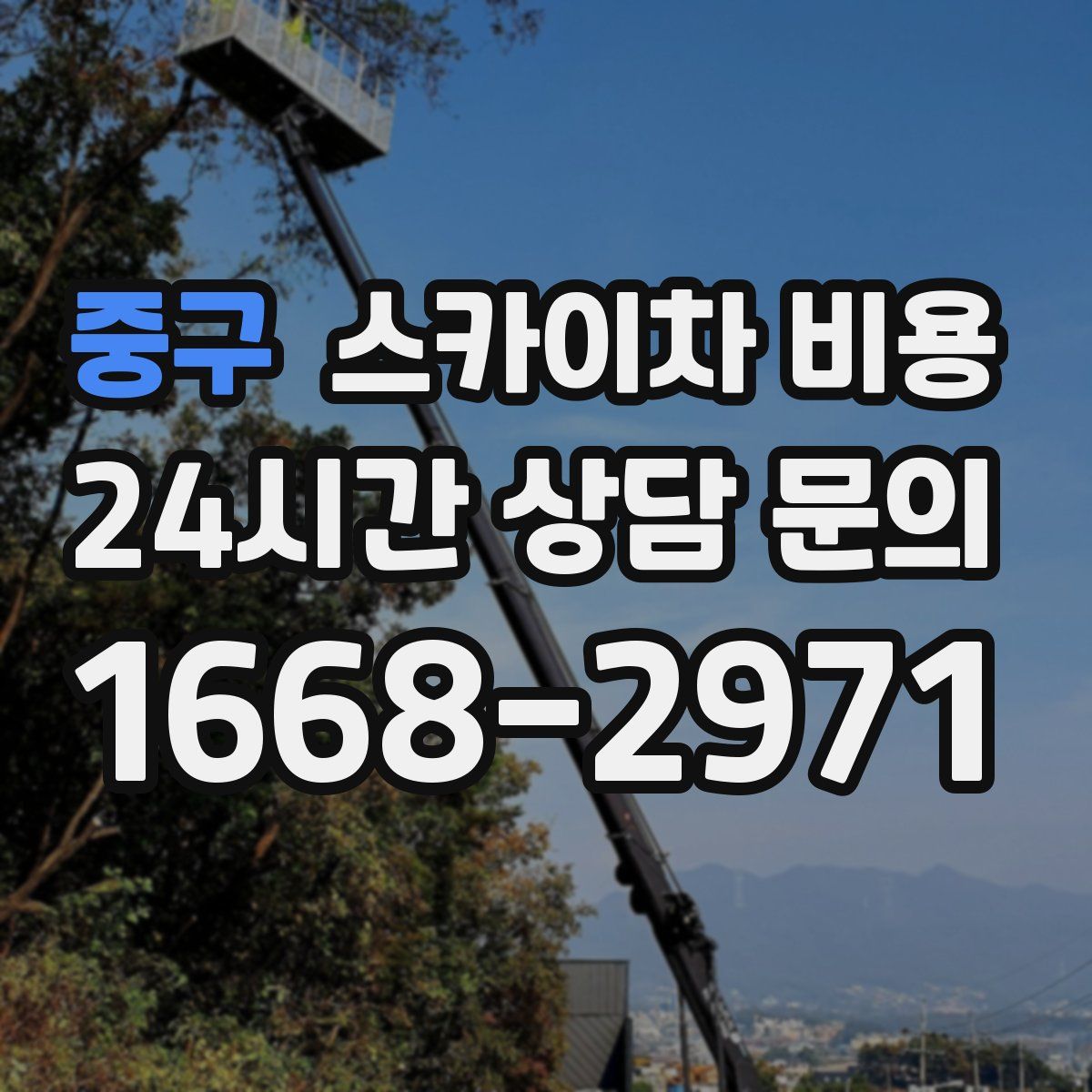 중구 스카이차 비용