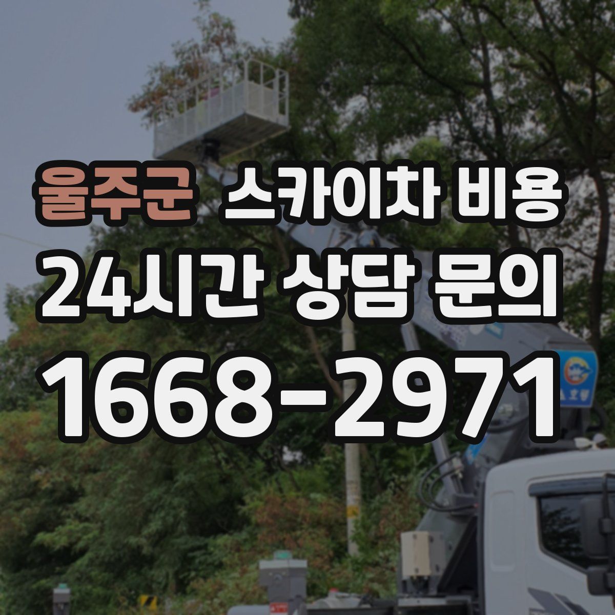 울주군 스카이차 비용