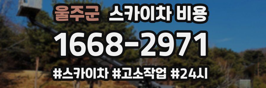 울주군 스카이차 비용