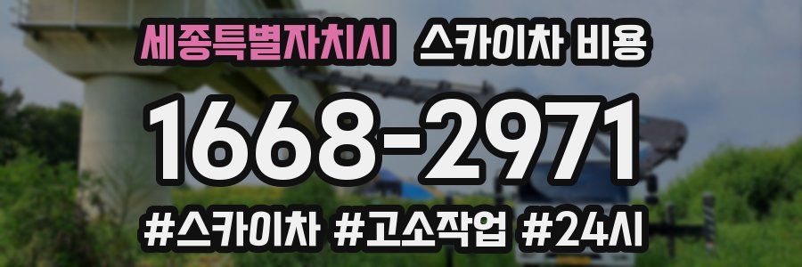 세종특별자치시 스카이차 비용