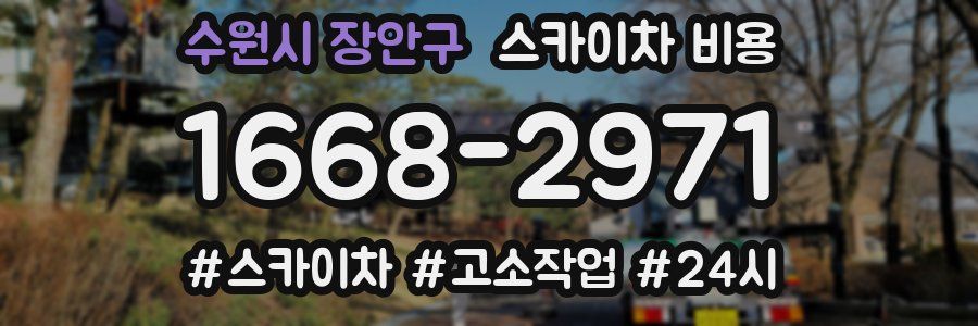 수원시 장안구 스카이차 비용