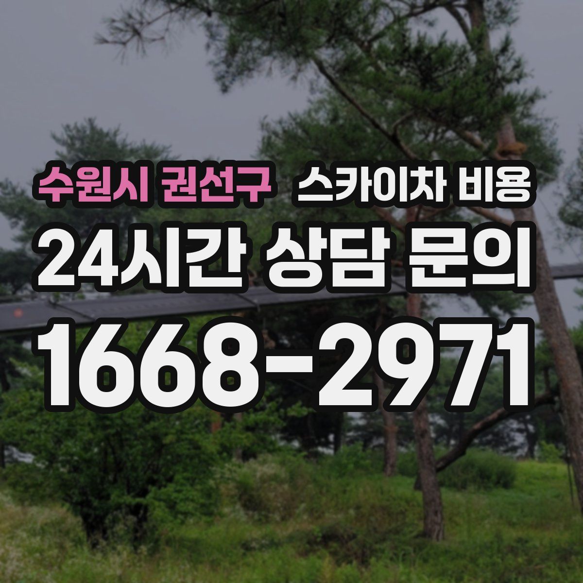 수원시 권선구 스카이차 비용