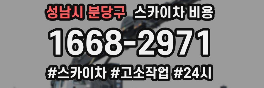 성남시 분당구 스카이차 비용