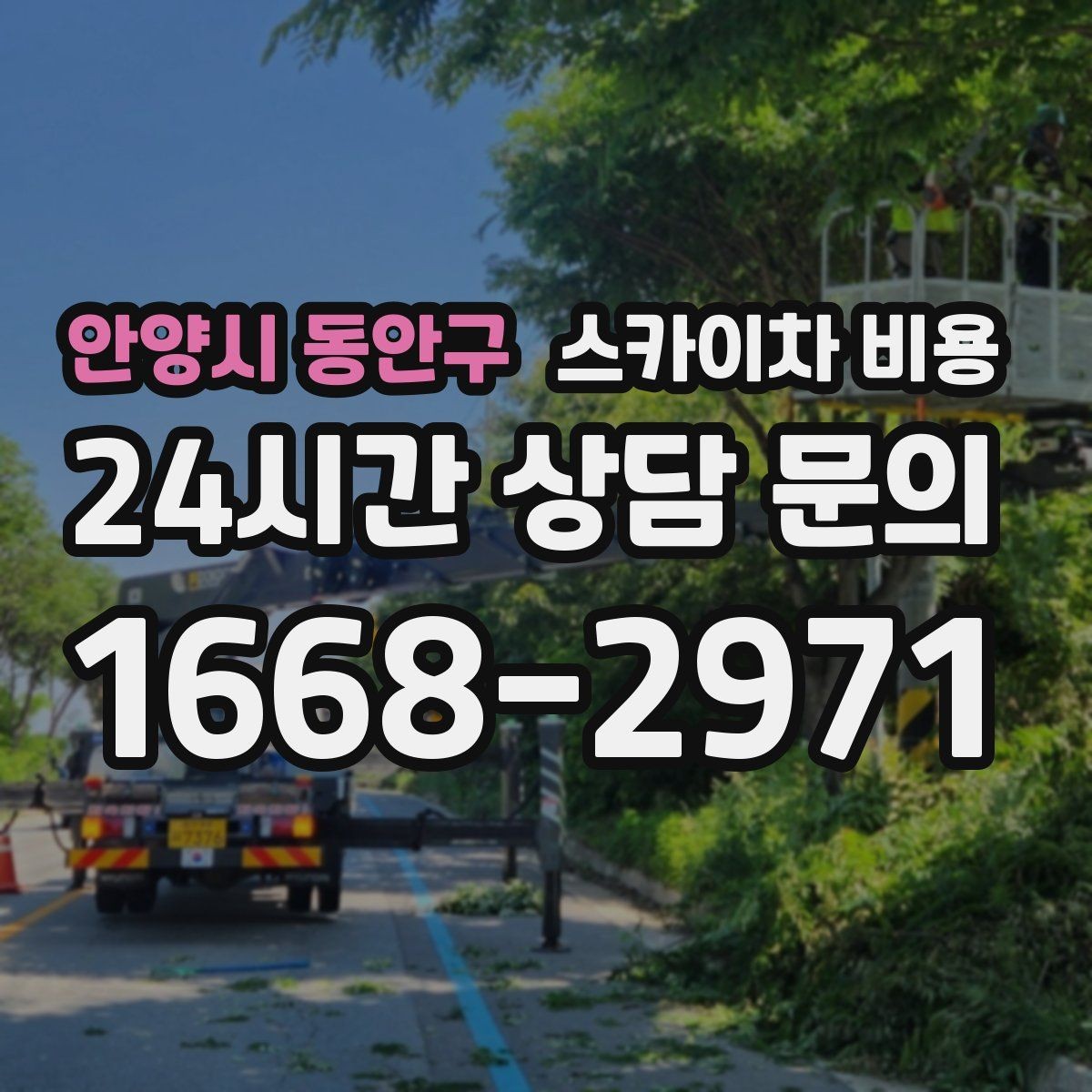 안양시 동안구 스카이차 비용 견적 문의할 때 알려야 할 정보 5가지