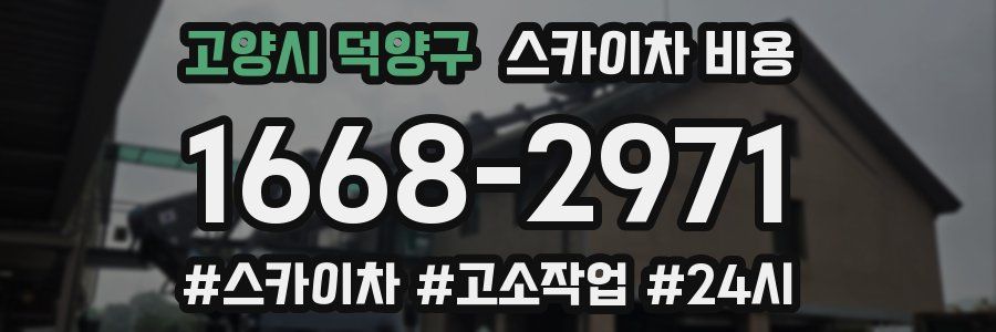 고양시 덕양구 스카이차 비용