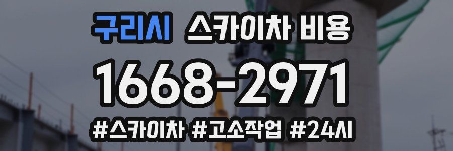 구리시 스카이차 비용