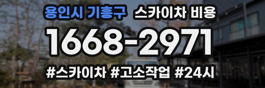 용인시 기흥구 스카이차 비용