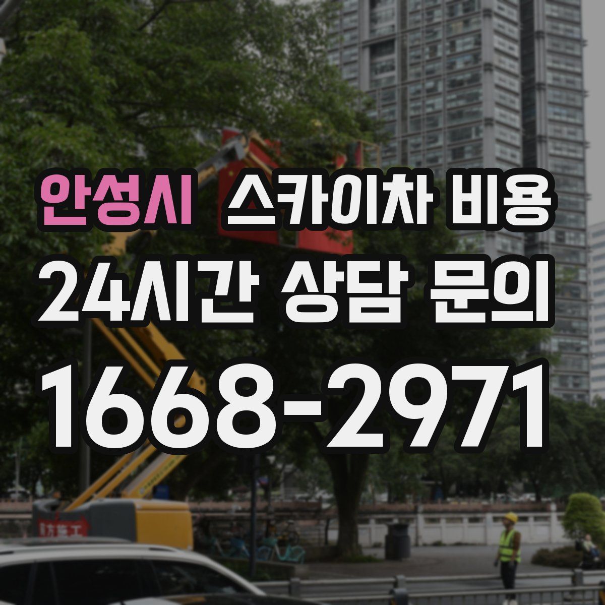 안성시 스카이차 비용