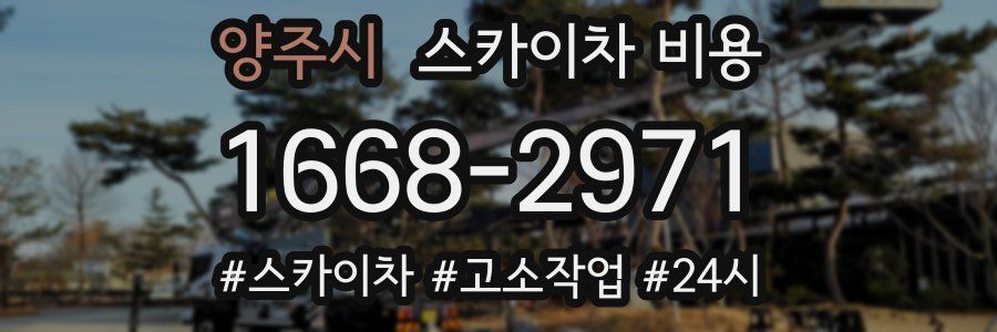 양주시 스카이차 비용