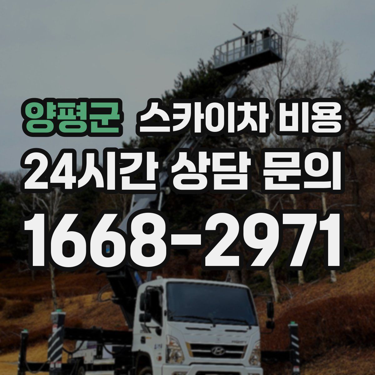 양평군 스카이차 비용