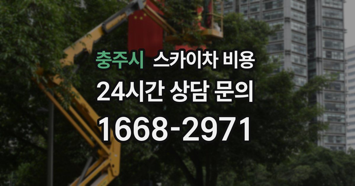 충주시 스카이차 비용