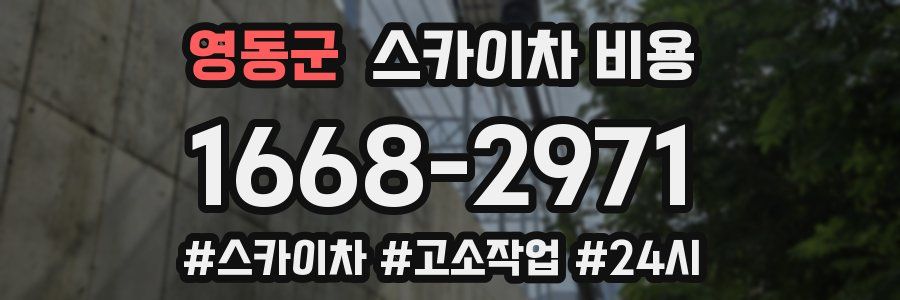 영동군 스카이차 비용