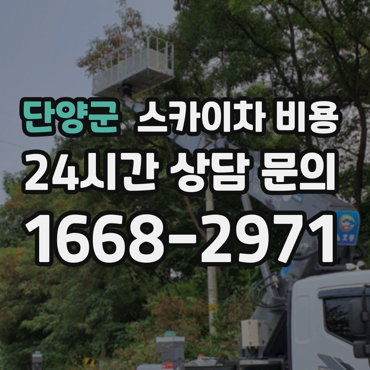 단양군 스카이차 비용