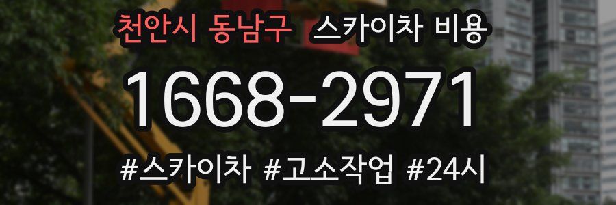 천안시 동남구 스카이차 비용