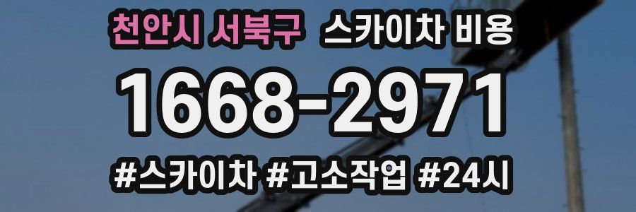 천안시 서북구 스카이차 비용