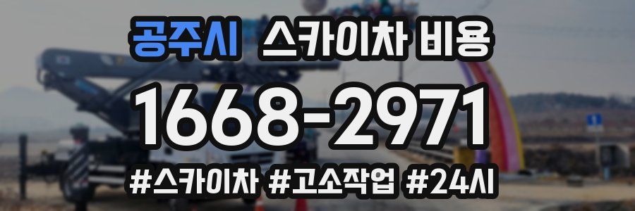 공주시 스카이차 비용