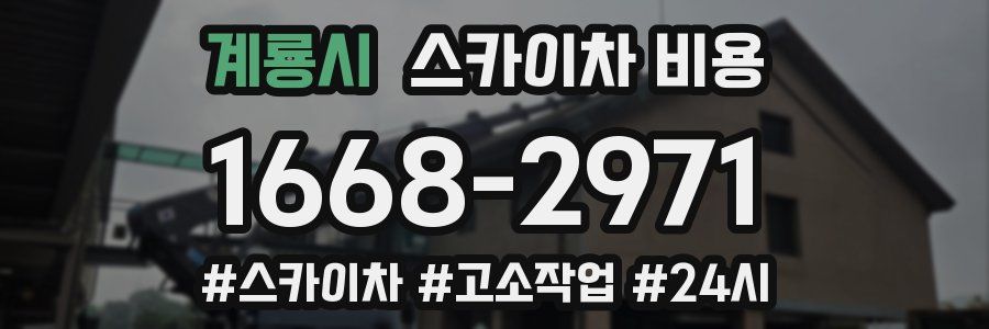 계룡시 스카이차 비용