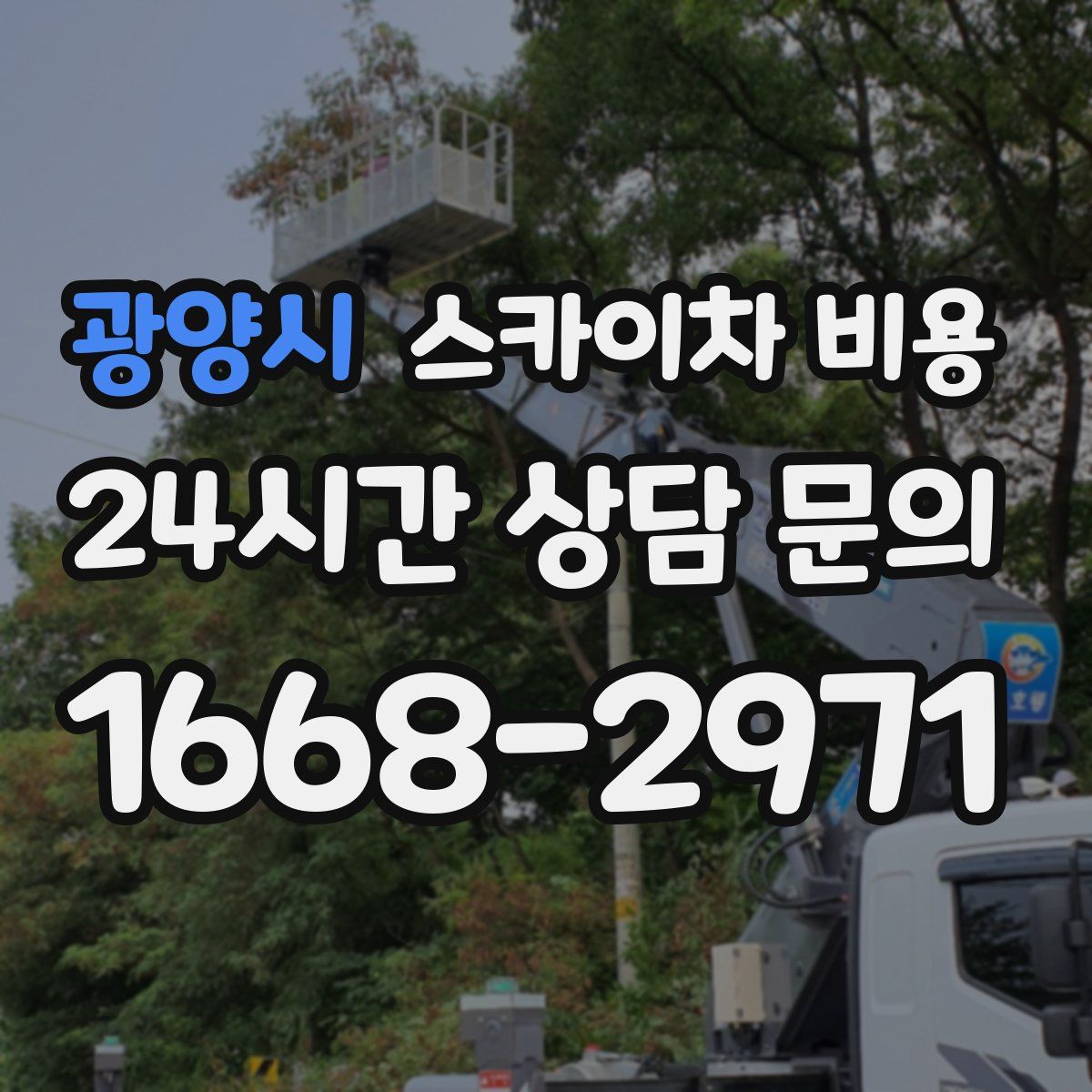 광양시 스카이차 비용