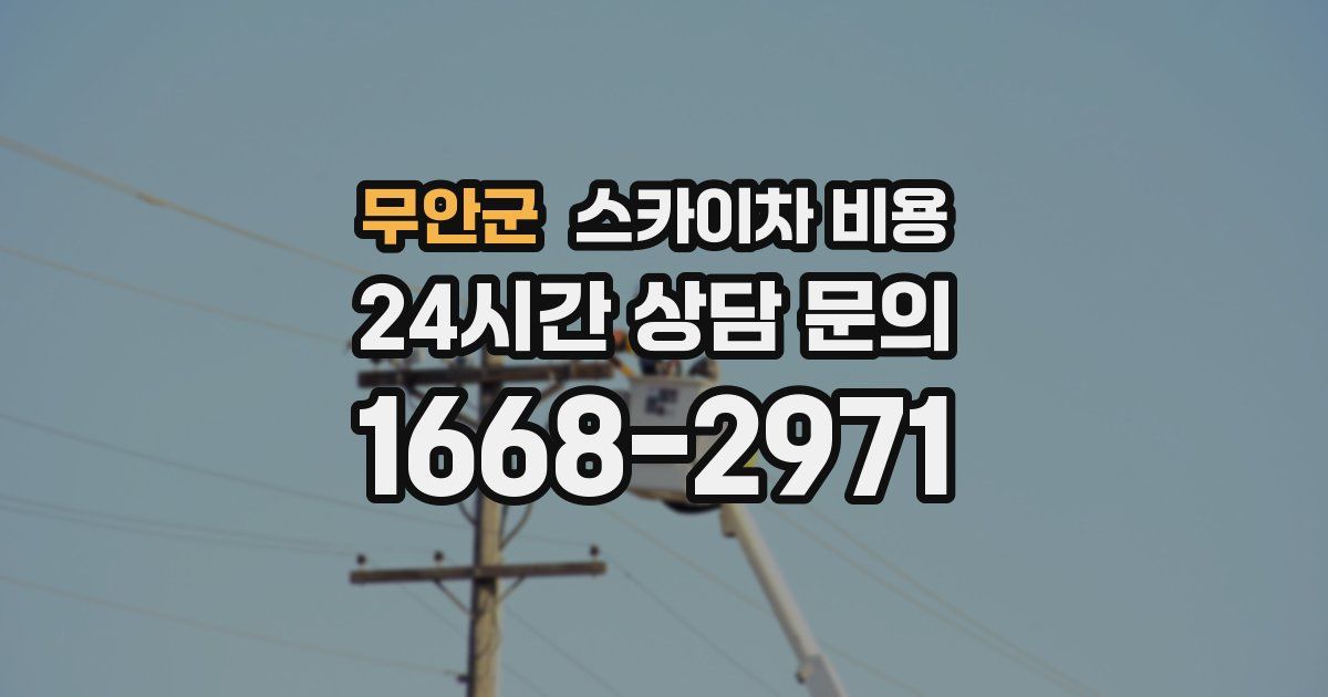 무안군 스카이차 비용