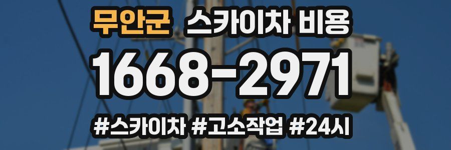 무안군 스카이차 비용