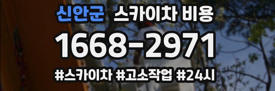 신안군 스카이차 비용