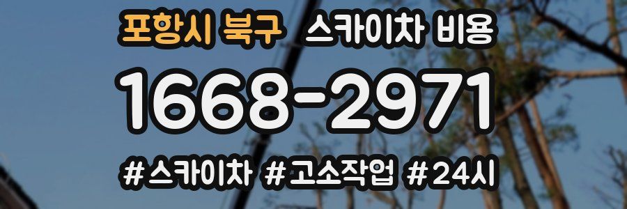 포항시 북구 스카이차 비용