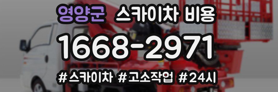 영양군 스카이차 비용