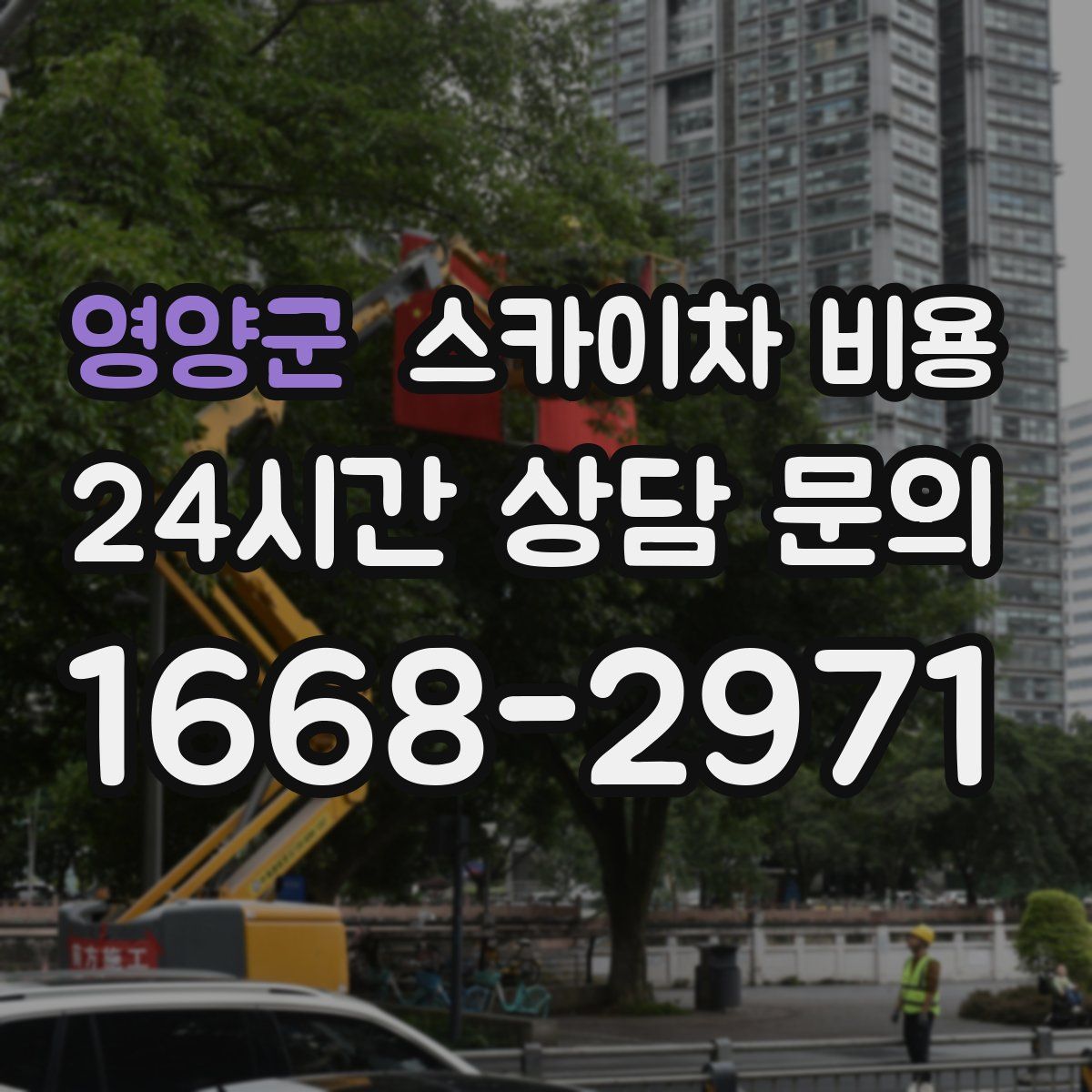 영양군 스카이차 비용