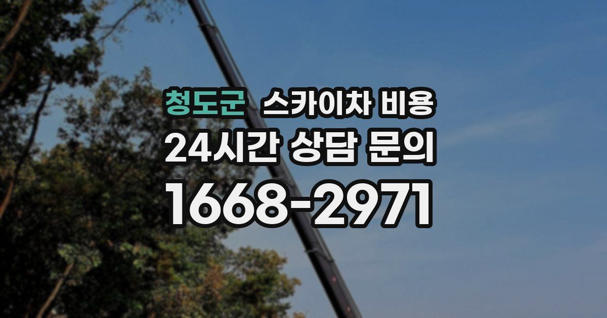 청도군 스카이차 비용