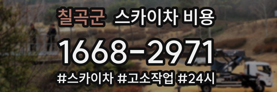 칠곡군 스카이차 비용