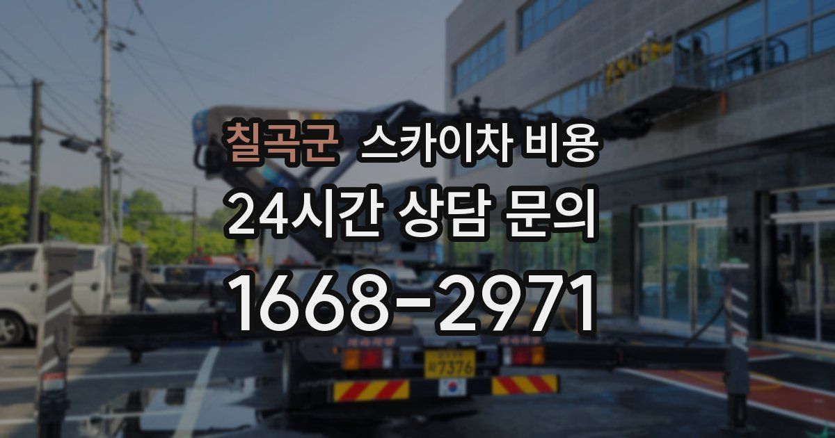 칠곡군 스카이차 비용