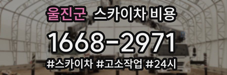 울진군 스카이차 비용