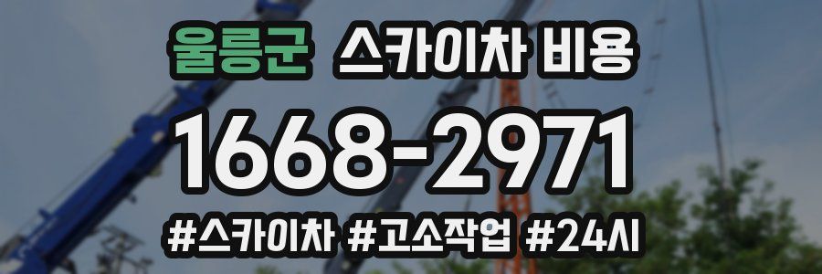 울릉군 스카이차 비용