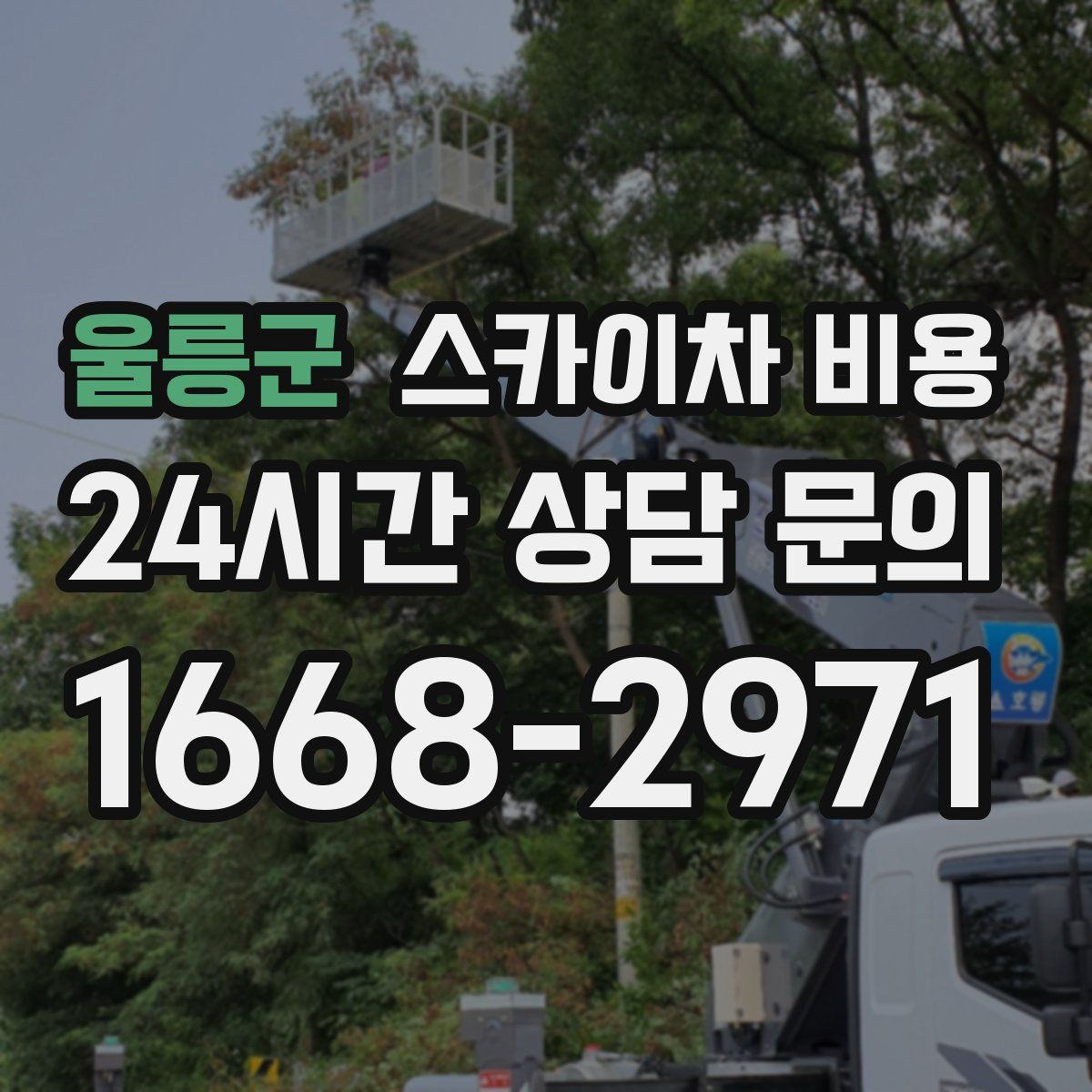 울릉군 스카이차 비용