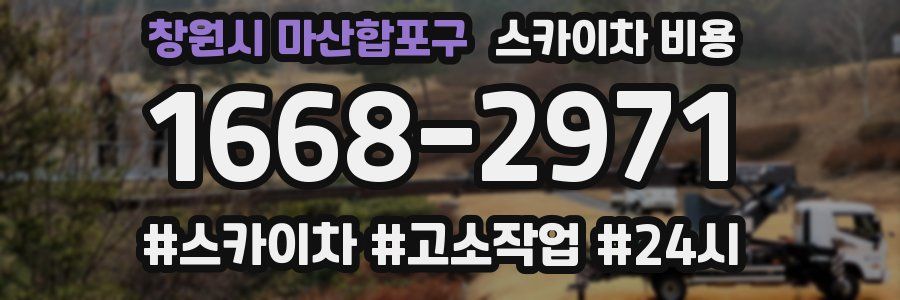 창원시 마산합포구 스카이차 비용