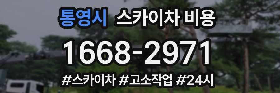 통영시 스카이차 비용