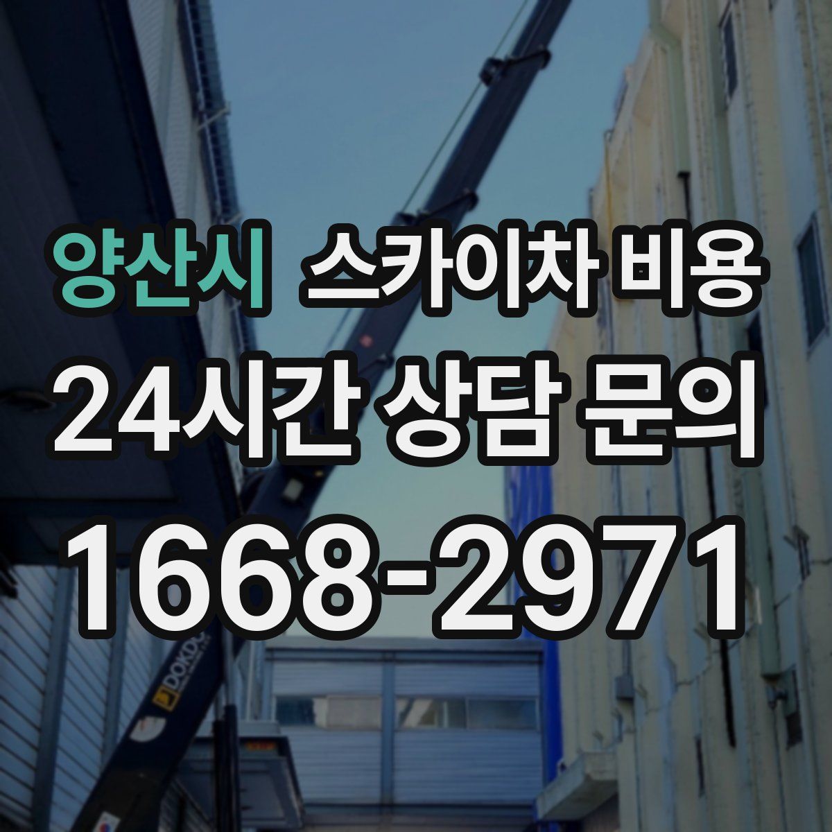 양산시 스카이차 비용