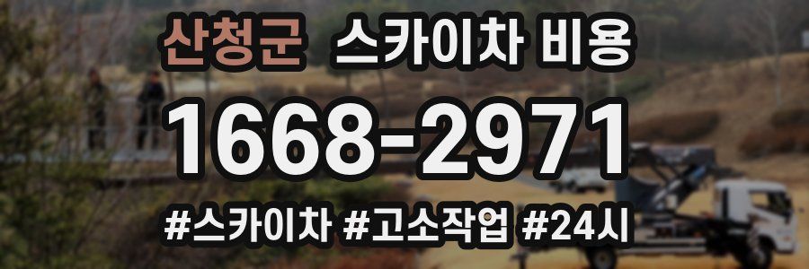 산청군 스카이차 비용