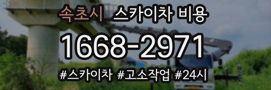 속초시 스카이차 비용