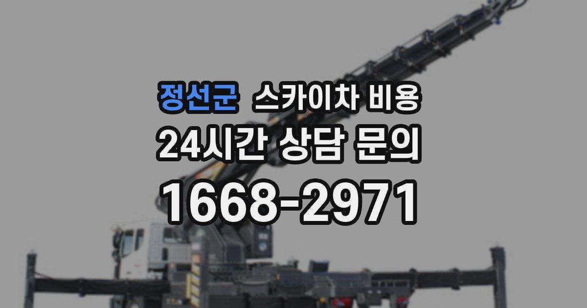 정선군 스카이차 비용